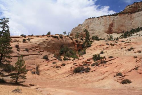 ZION_IMG_0532