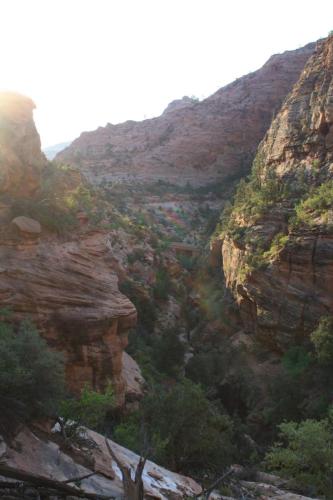 ZION_IMG_0726